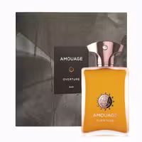 قیمت | خرید ادو پرفیوم مردانه AMOUAGE Overture حجم ۱۰۰ میل