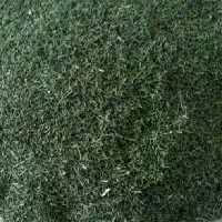 سبزی خشک شوید(300گرمی)