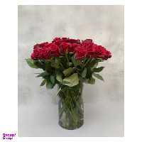 گل رز هلندی رنگ قرمز دسته 20 شاخه‌ ای