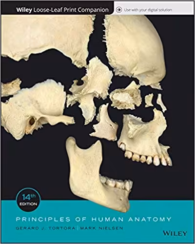 󾕇 دانلود کتاب Principles Of Human Anatomy, 14th ed, 2017 - دانلود کتاب های دانشگاهی