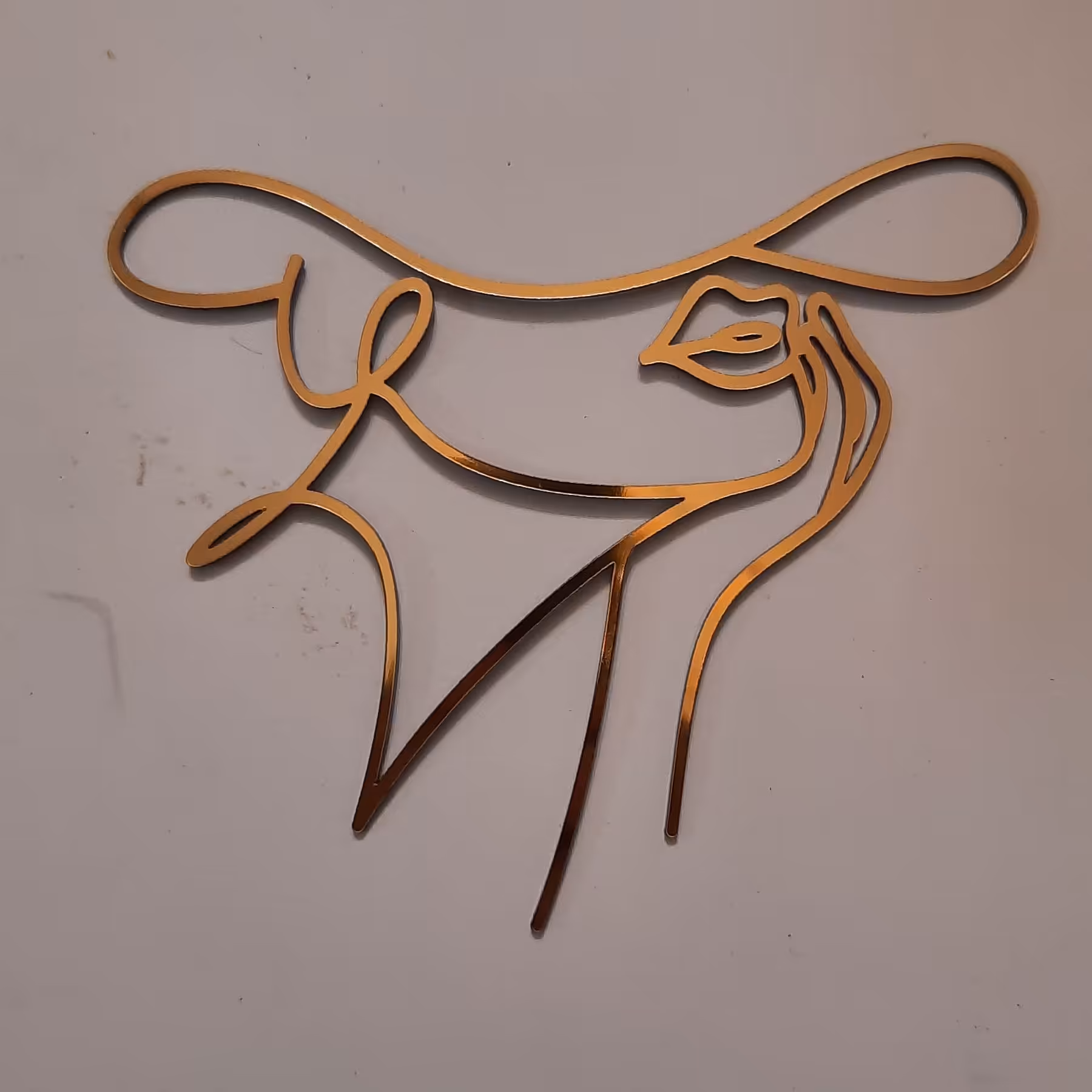 تاپر چهره دست زیر چونه یک عددی