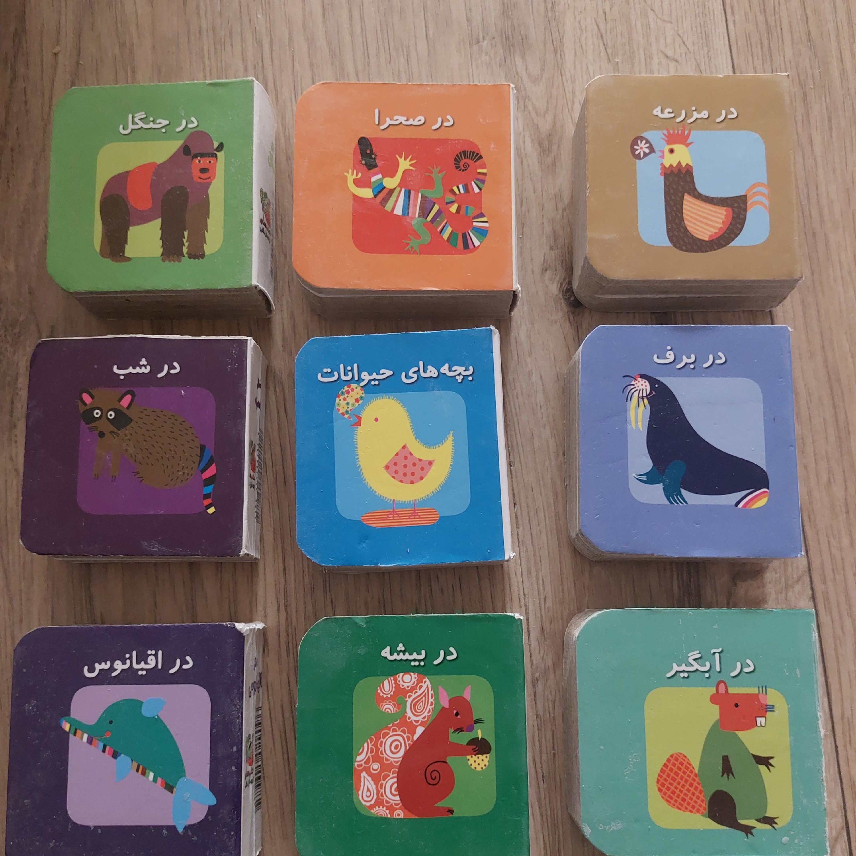 کتاب ضخیم مقوایی دو زبانه جیبی