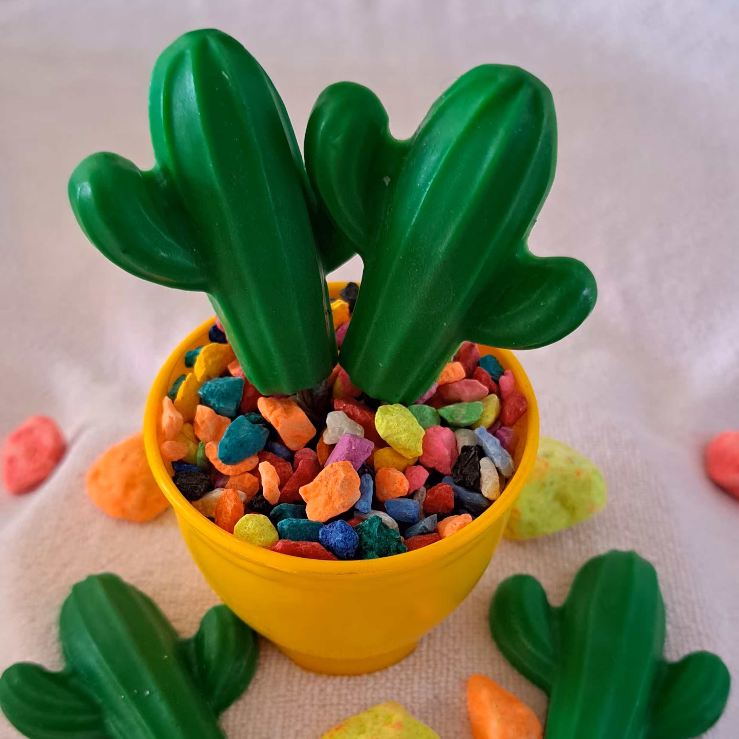 کاکتوس صابونی،سایزگلدان12سانت وقطر8میباشدکاکتوس  ازجنس صابون گلیسیرینه بارایحه ویولت