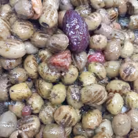 زیتون کبابی با آلو بسیار خوشمزه وپرطرفدار