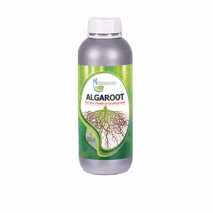 کود آلگاروت پرهام