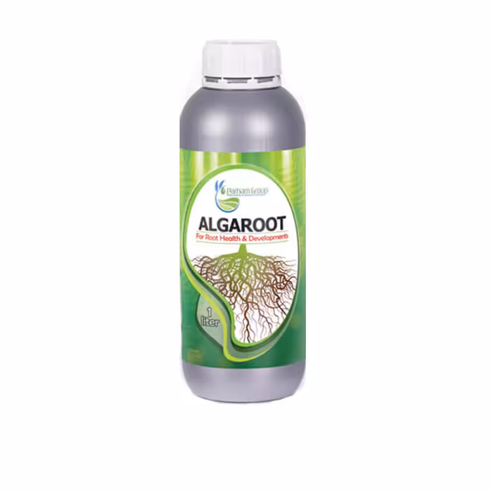 کود آلگاروت پرهام