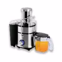 آبمیوه گیری دلمونتی مدل DL275