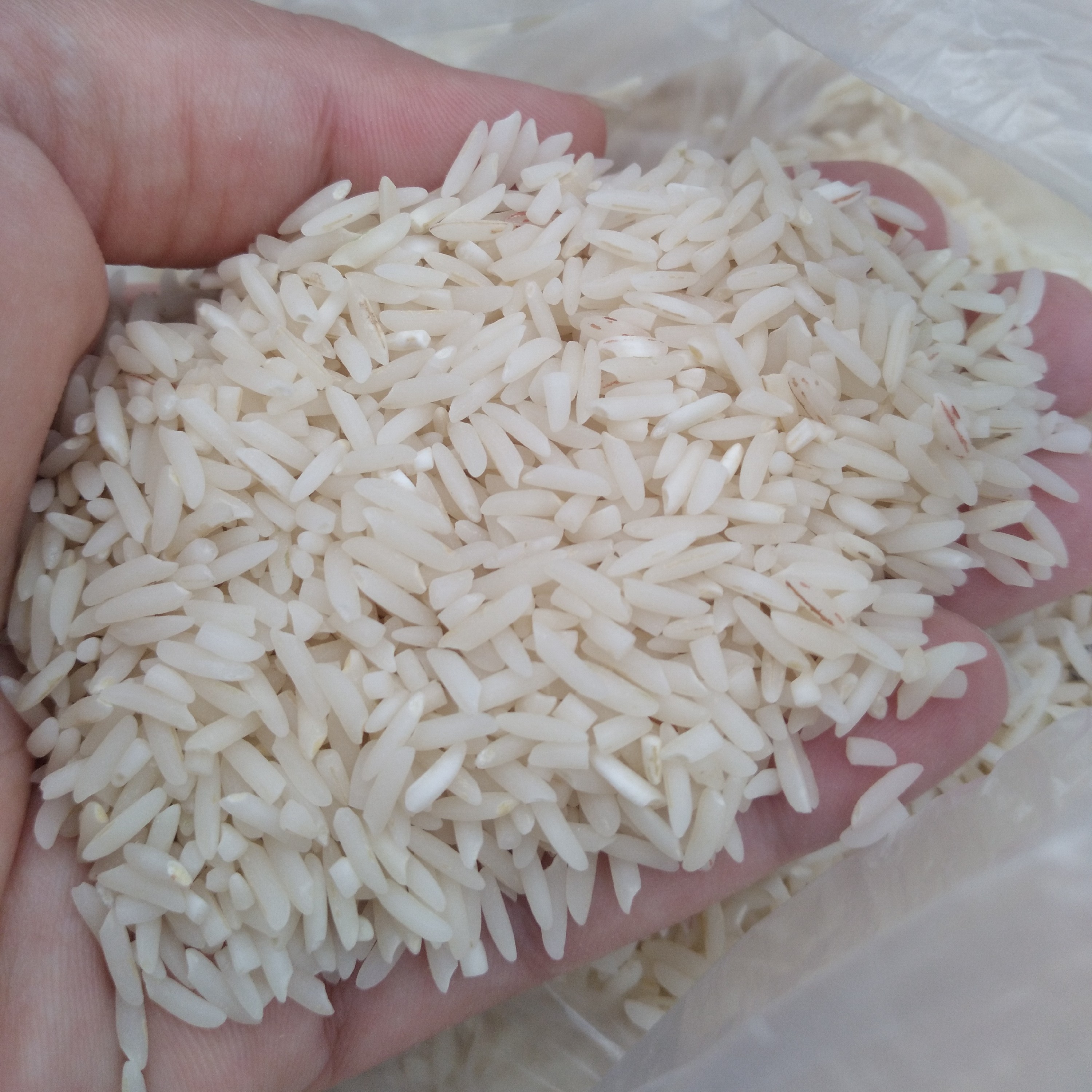 برنج طارم هاشمی بابل (لاله اباد) 1کیلو گرم