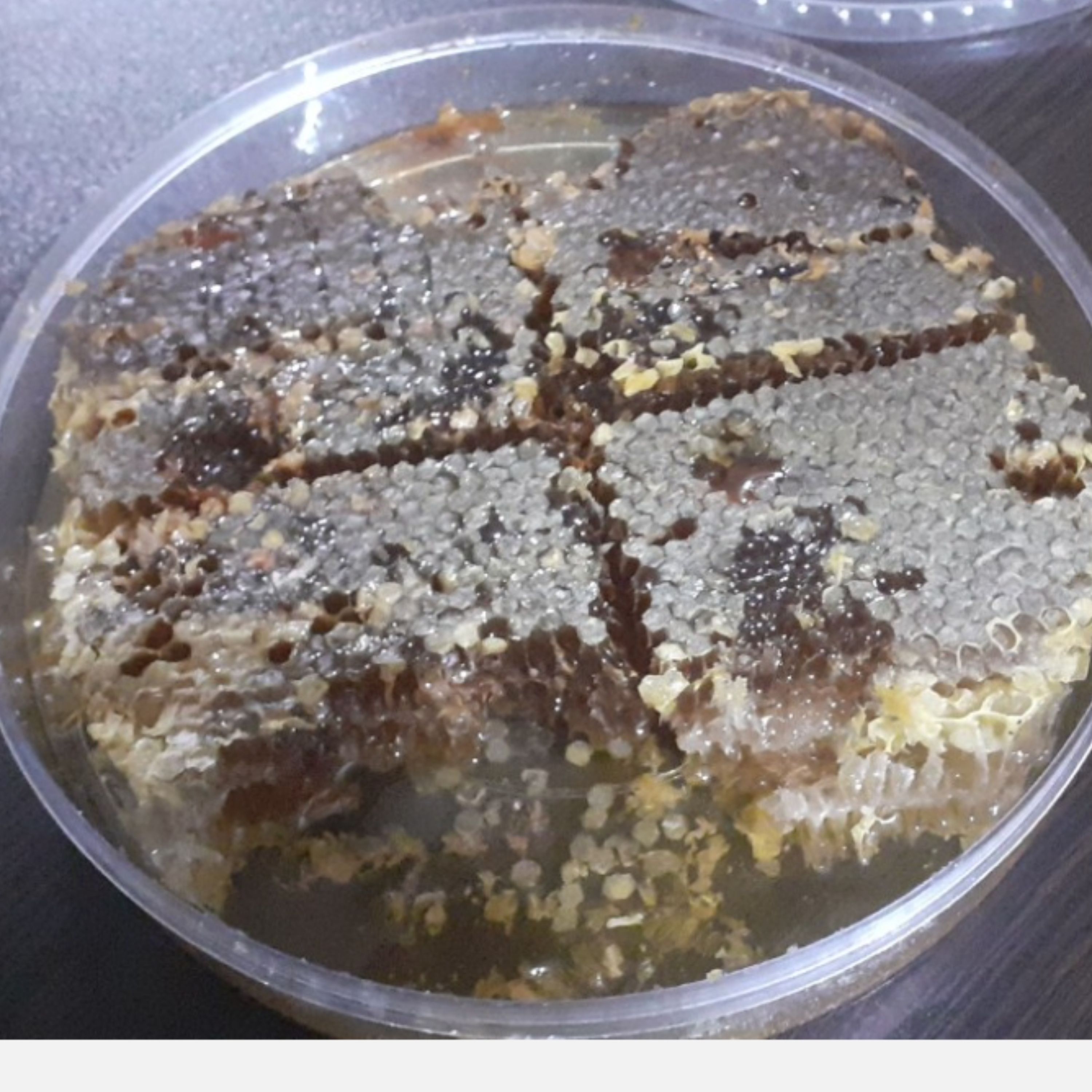 عسل موم دار گیاه گون صد در صد طبیعی 