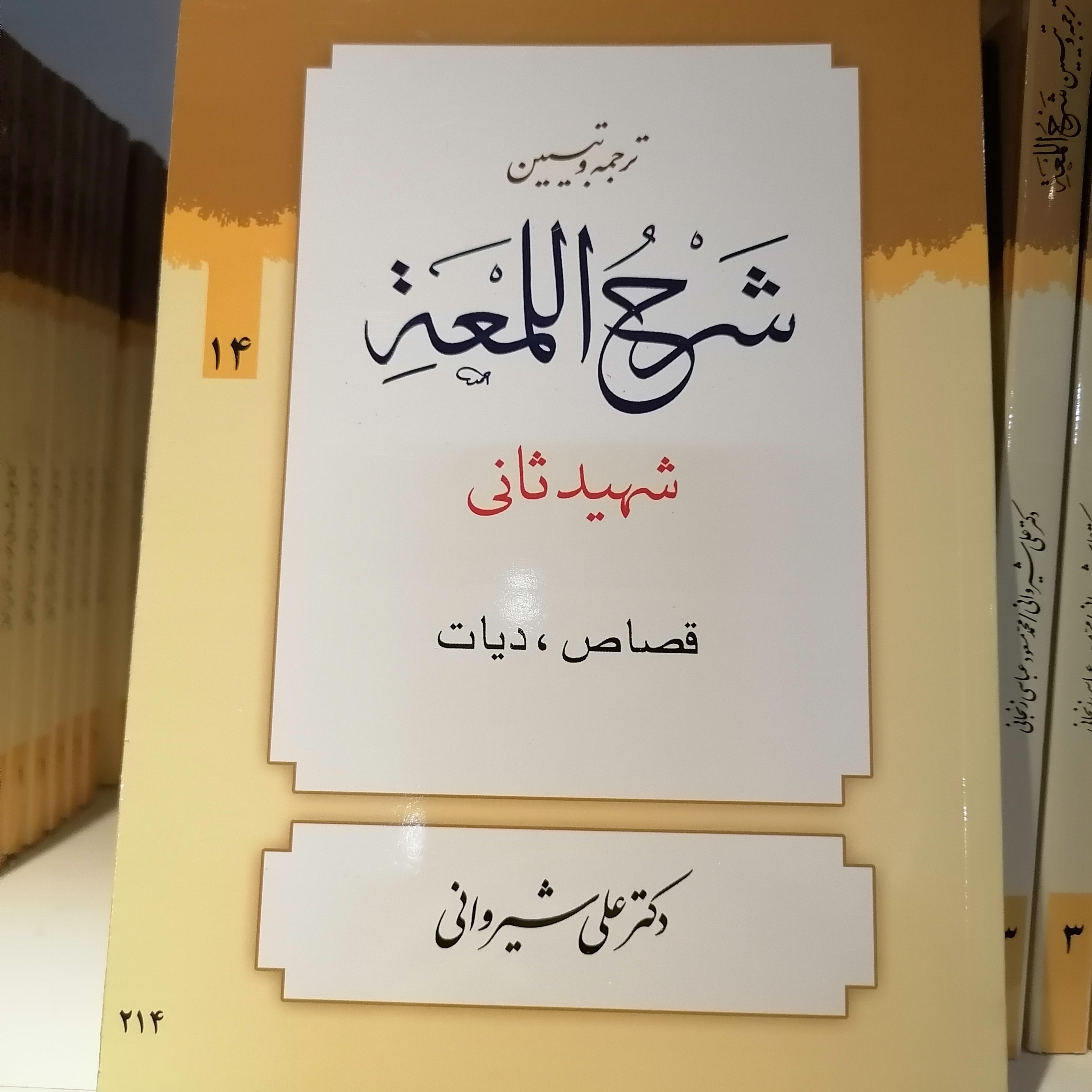 کتاب ترجمه و تبیین لمعه (جلد14)
شهید ثانی ترجمه علی شیروانی