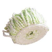 یدک زمین شوی چرخشی تی مدل Spin Mop