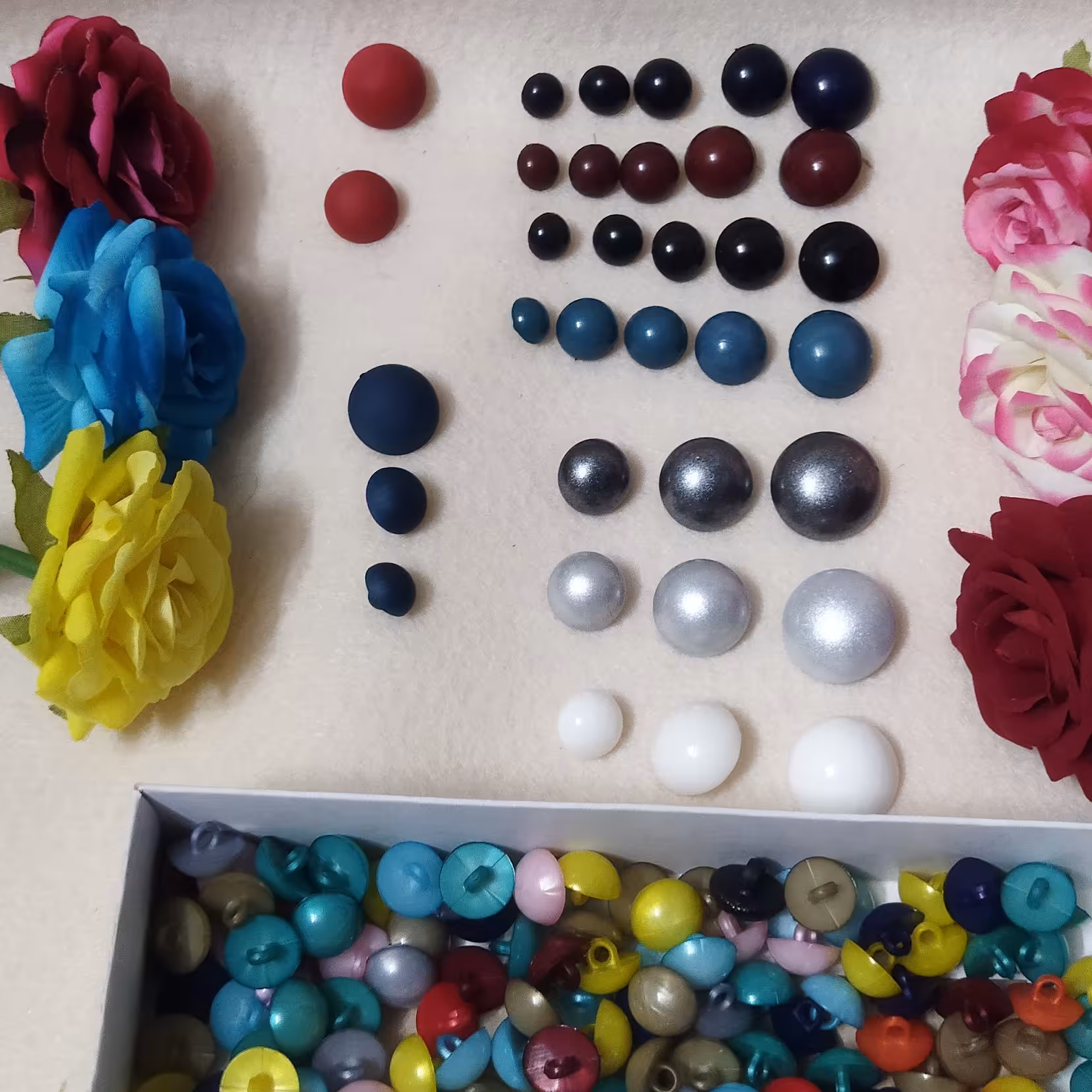 دکمه فندقی 4سایز رنگبندی 