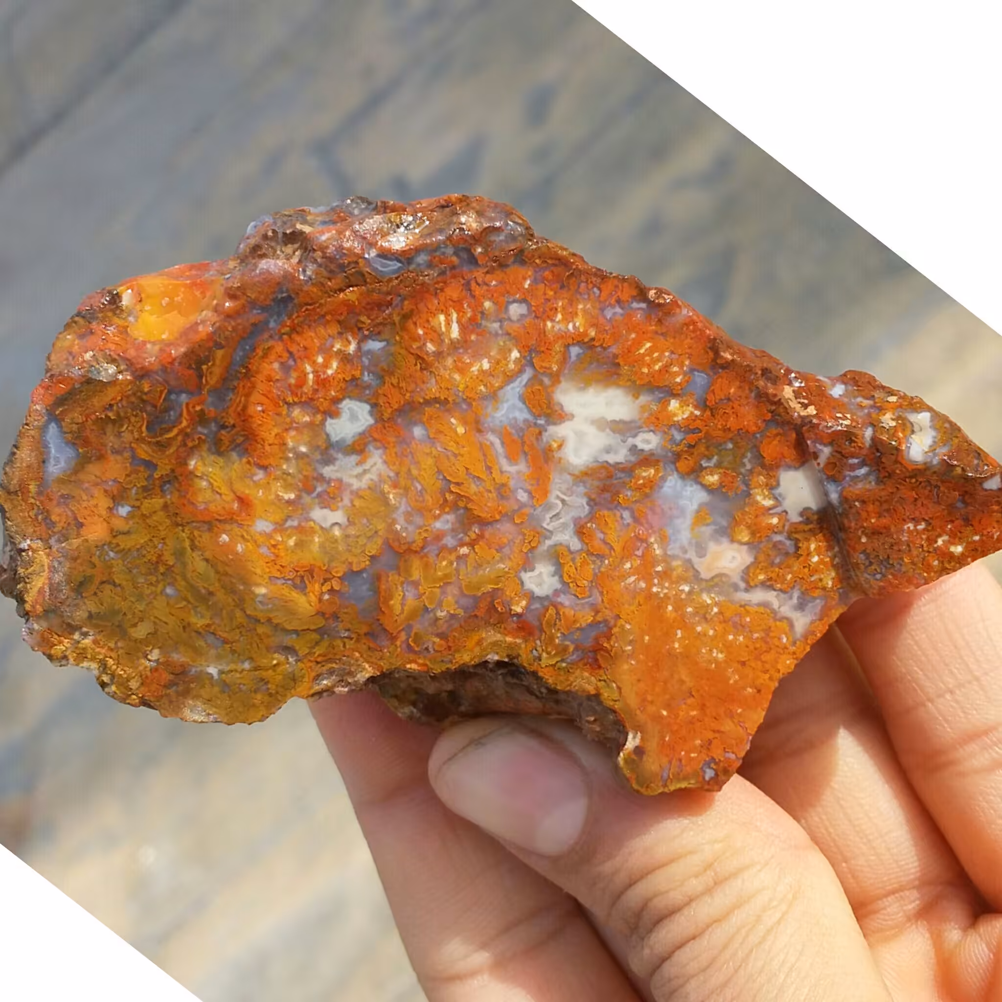 اسلایس سنگ راف شجر 7رنگ 3قلعه بسیار دیدنی و کمیاب شاهکار خلقت کاملا طبیعی
با قابلیت ساخت چند نگین محشر
 کد 8676