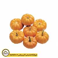 بذر کدو زینتی جک کوچولو (Cucurbita Pepo Jack Be Little) مولر