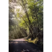 	 تابلو شاسی کد benpics-0017 (ابعاد 50x70 - شاسی 8 میل-کاغذ سیلک-اصالت تصویر)