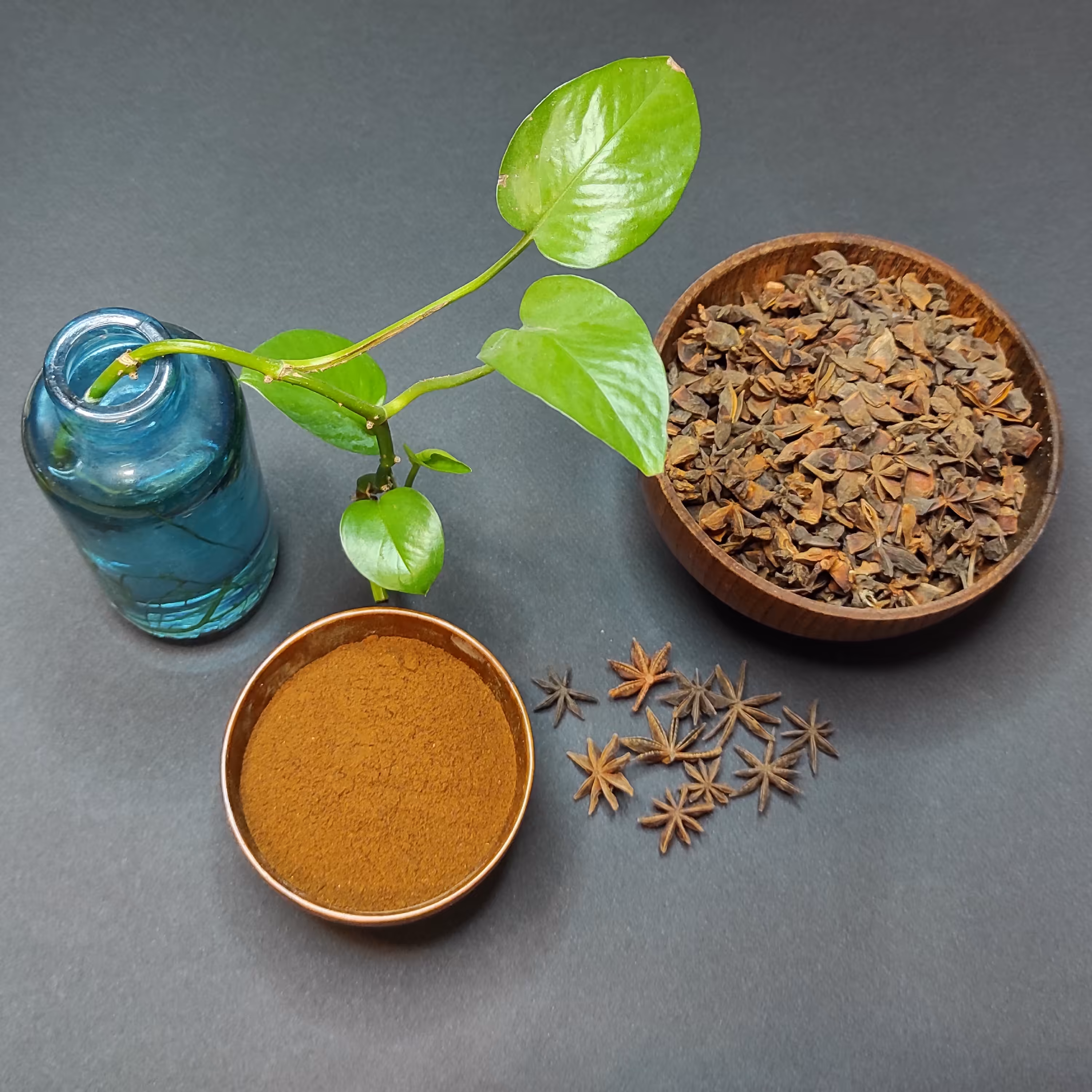 ادویه بادیان ستاره ای تازه آسیاب ممتاز    50 گرمی