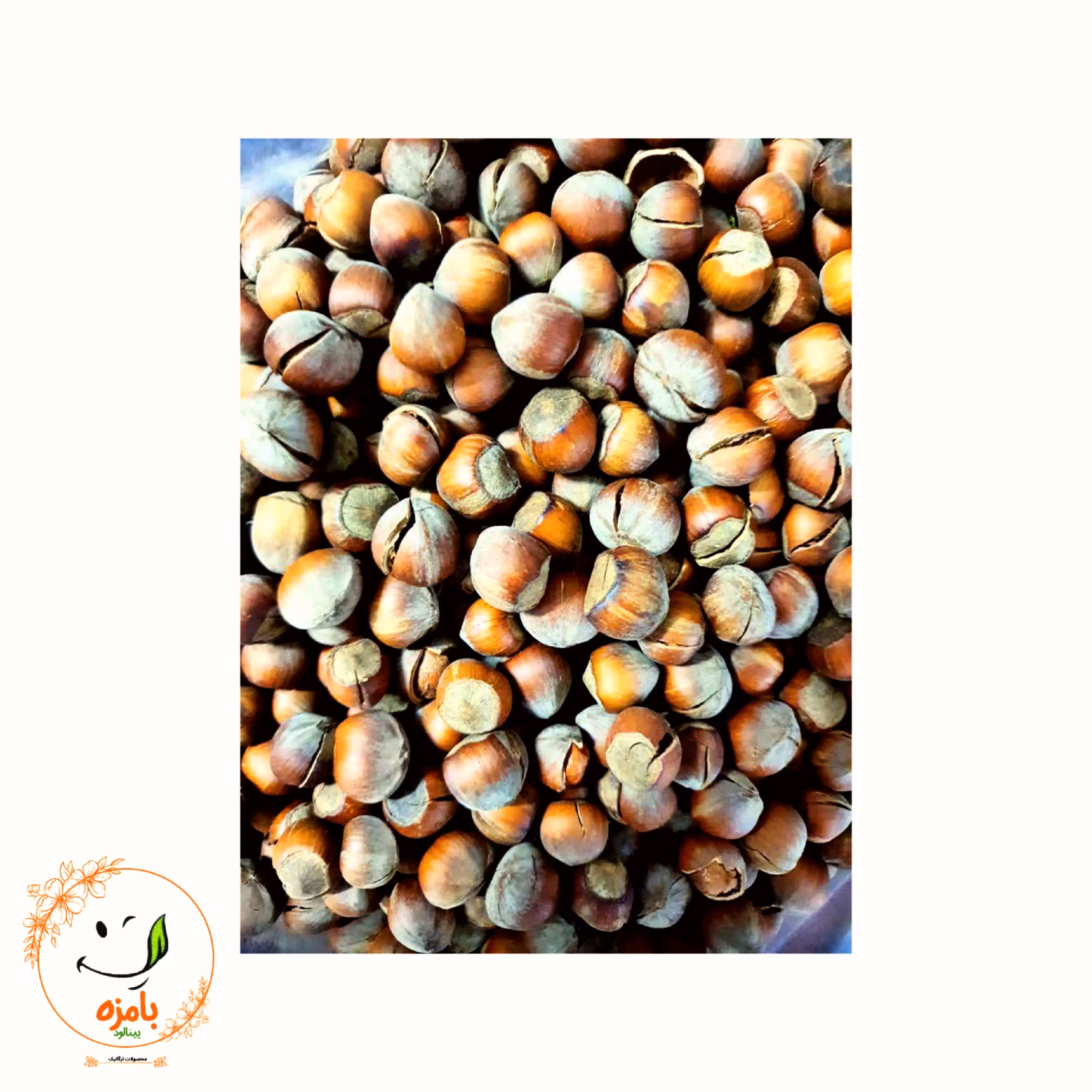 فندق خام ایرانی درجه یک خندانِ خندان(500گرمی) بامزه بینالود 