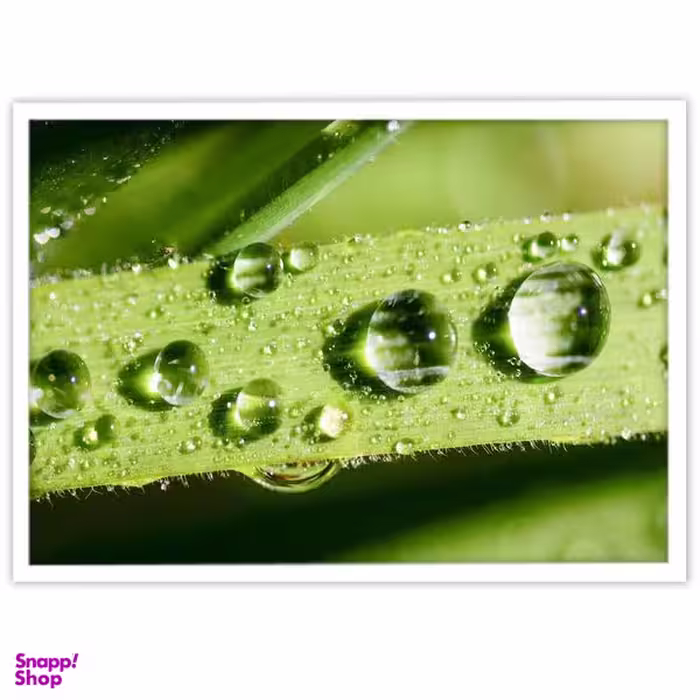 تابلو بکلیت طرح عکاسی طبیعت شبنم مدل W-10041