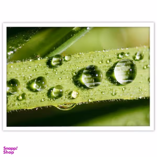 تابلو بکلیت طرح عکاسی طبیعت شبنم مدل W-10041