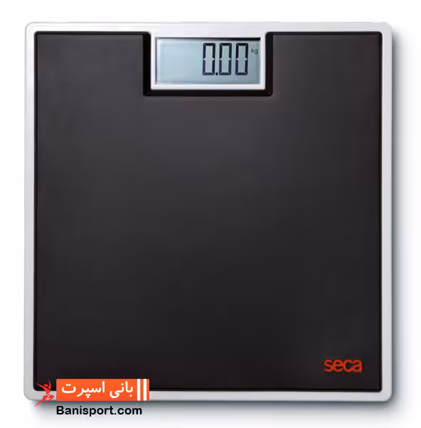 ترازو دیجیتال سکا 803