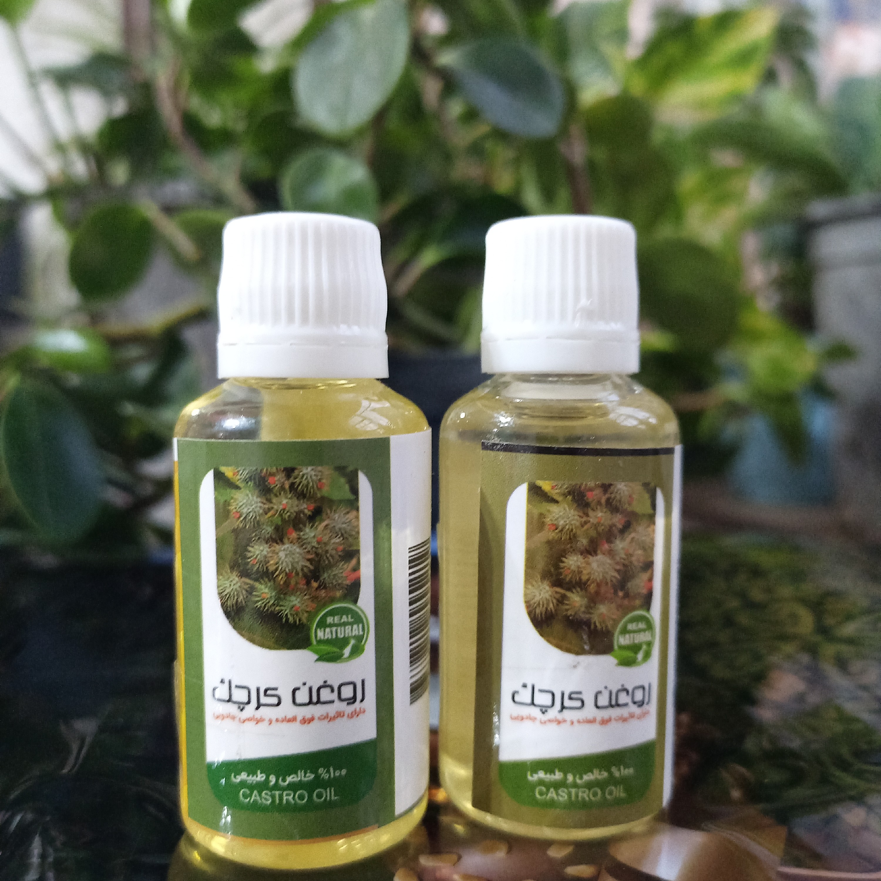 روغن کرچک، مفید یبوست، مناسب برای ماساژ، افزایش دهنده گردش خون، پاکسازی روده قبل جراحی