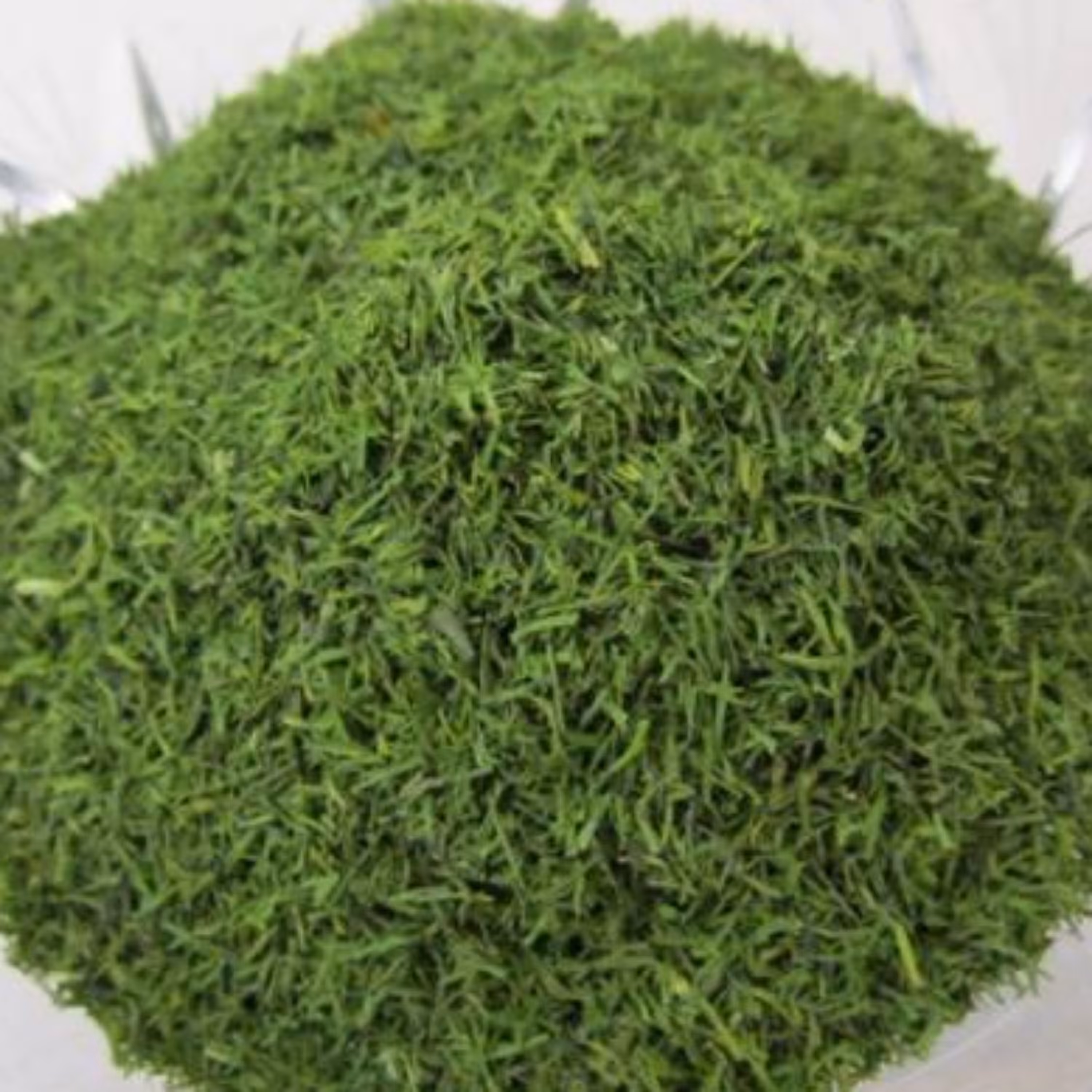 شوید خشک شده- به اصطلاح انگلیسی Dill