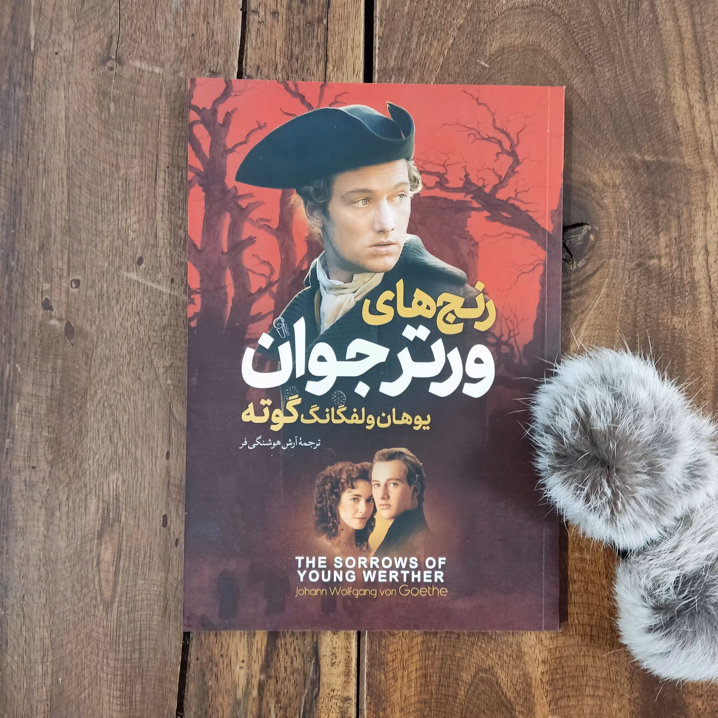 کتاب رنج های ورتر جوان اثر یوهان ولفگانگ گوته نشر آرزمیدخت