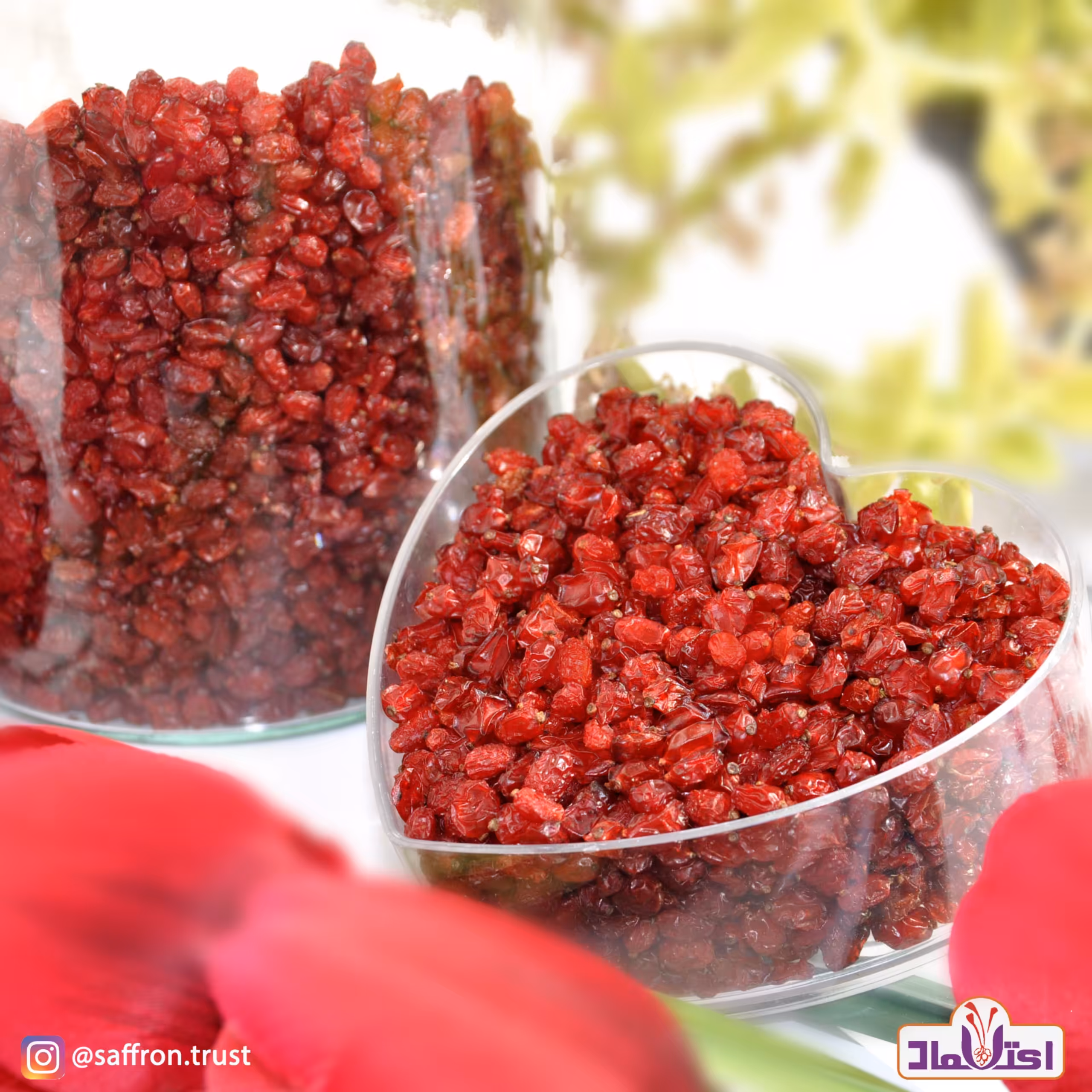 زرشک پفکی امسالی یک کیلویی خوش طعم و خوش رنگ 