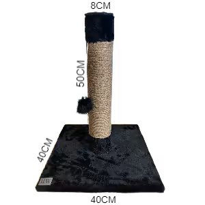 اسکرچر گربه مدل مشا