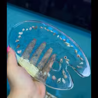 پالت نقاشی شفاف(از جنس رزین)