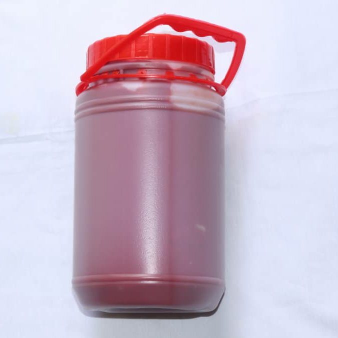 رب خانگی