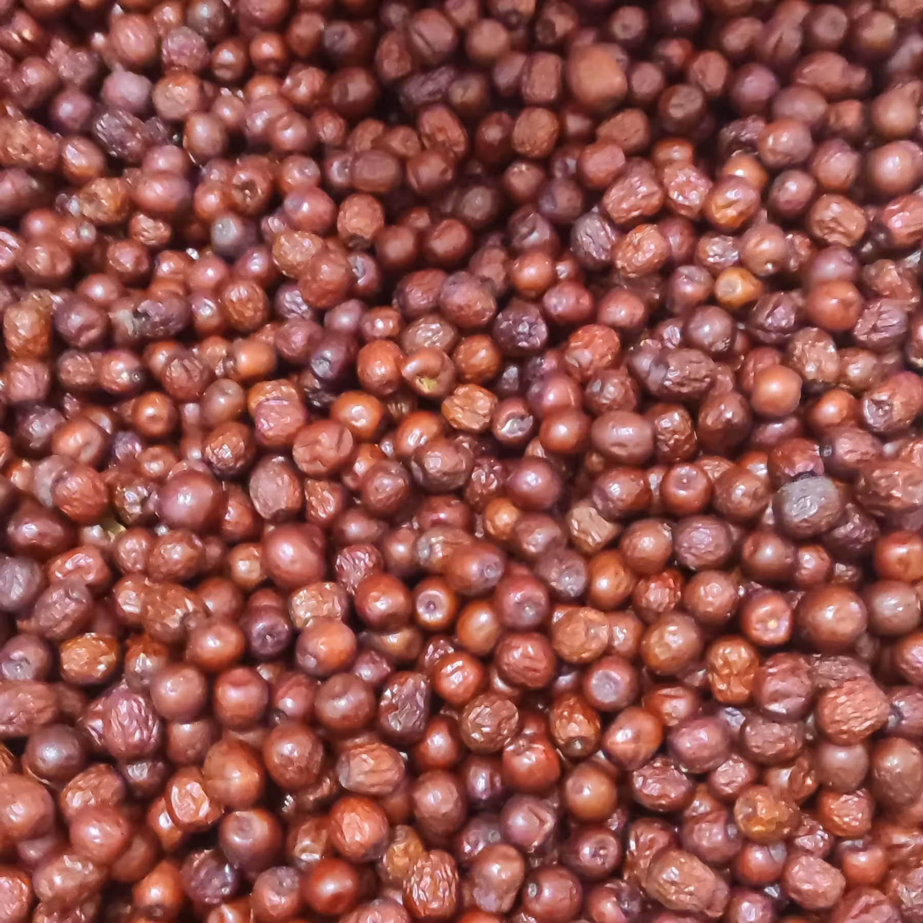  عناب نرم وتازه (یک کیلو)سایز متوسط معمولی  خراسان جنوبی در تهران بیواسطه