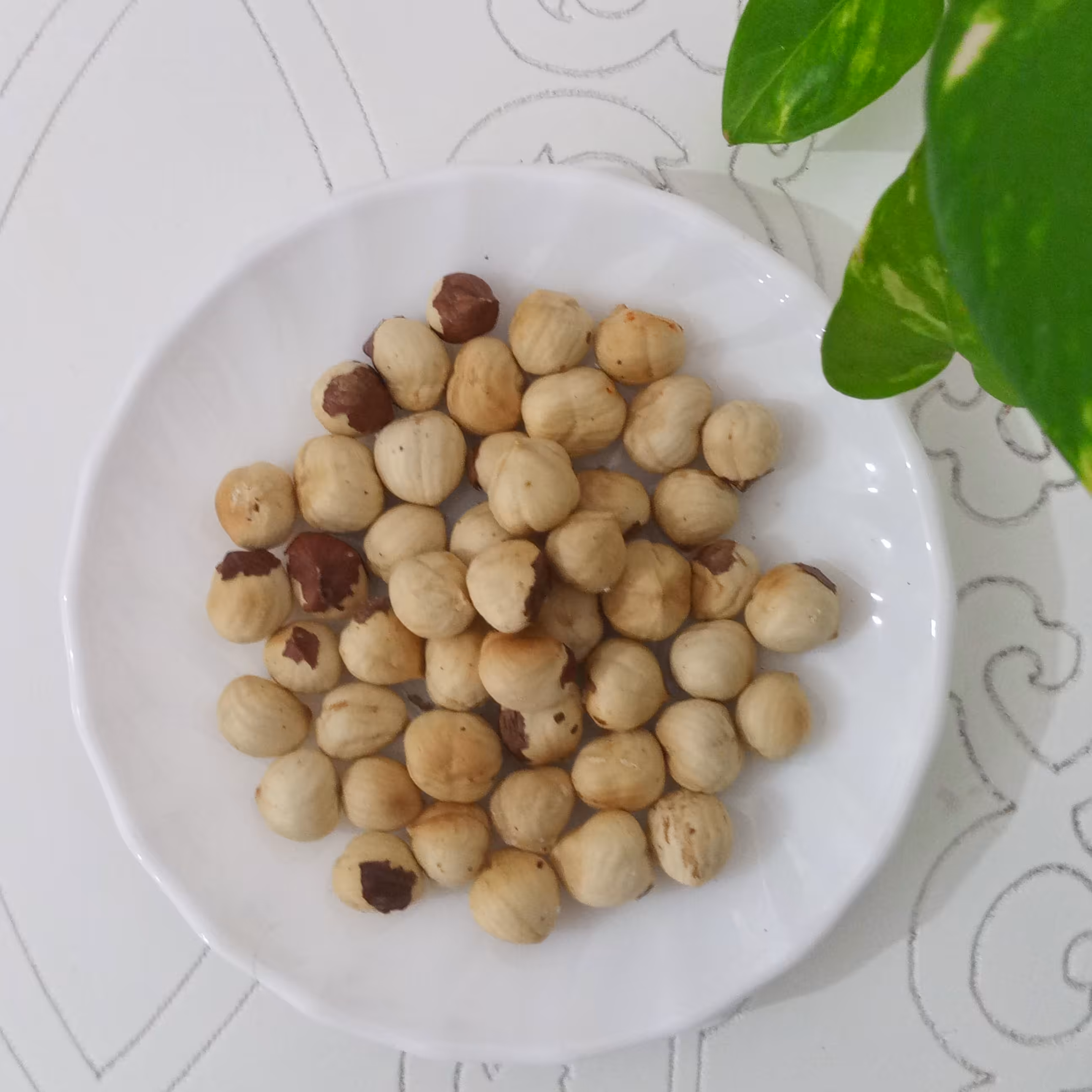 مغز فندق برشته نمکی 100 گرمی