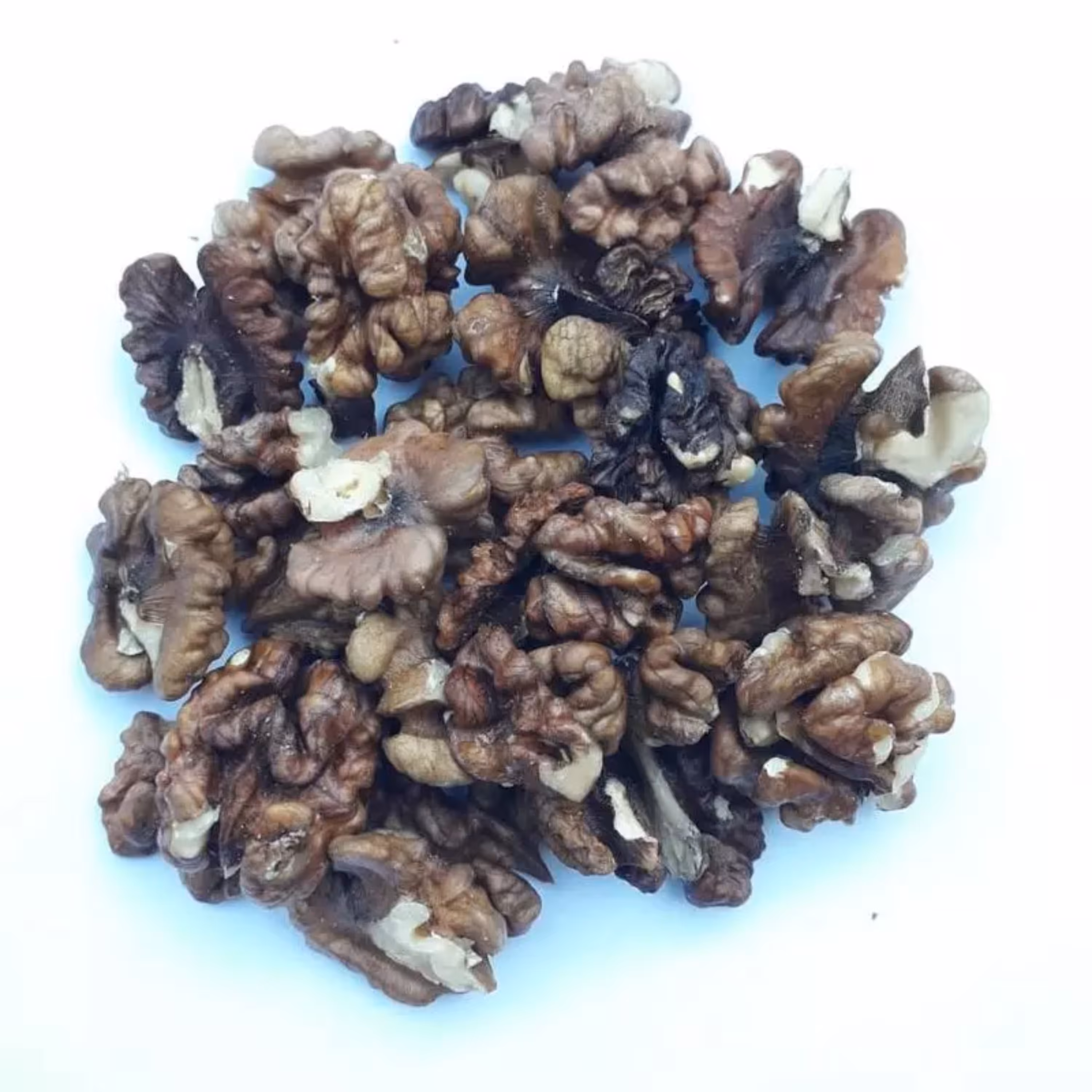 مغز گردو فسنجونی درجه 1 درشت و چرب و توپر (ارسال رایگان)