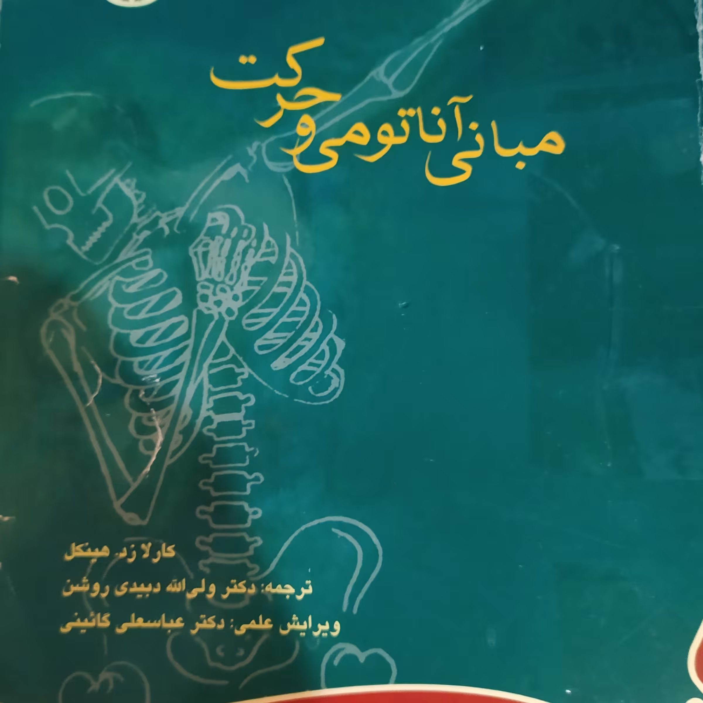 کتاب مبانی آناتومی و حرکت کارلا زد هینکل 