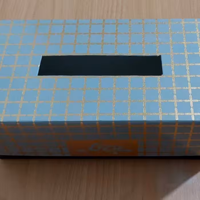 جعبه جای دستمال کاغذی (هاردباکس) بیتا - کارتن 10 عددی