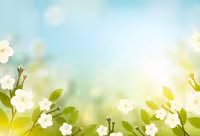 وکتور شکوفه | گرافیک با طعم تربچه