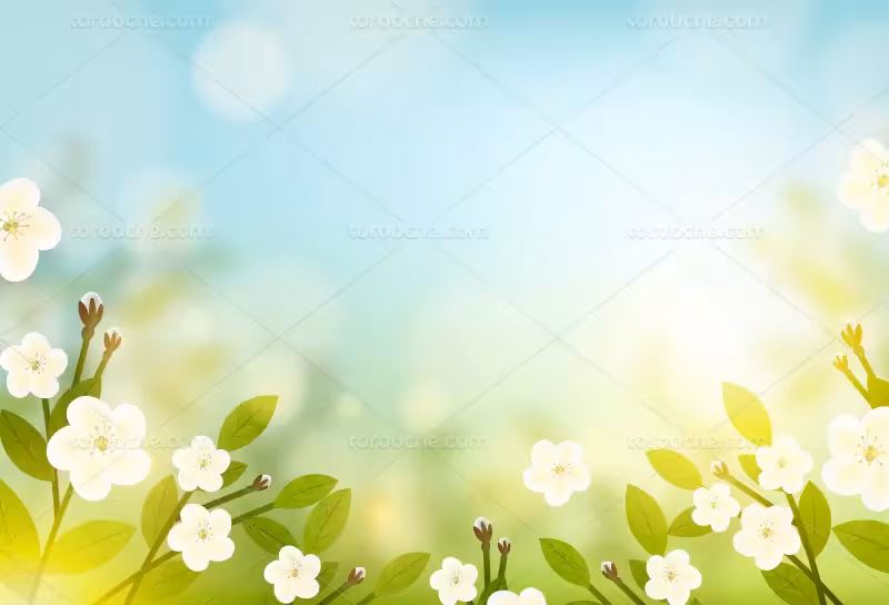 وکتور شکوفه | گرافیک با طعم تربچه