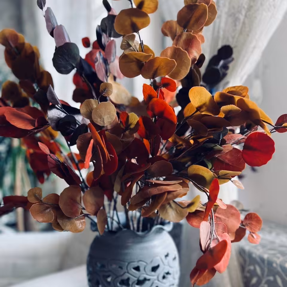 برگ سکه ای چرمی 
سفارش اروپا
ارتفاع شاخه80سانت
شامل 5شاخه