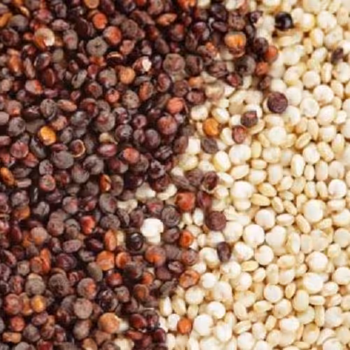 گیاه کینوا فله 100 گرمی 