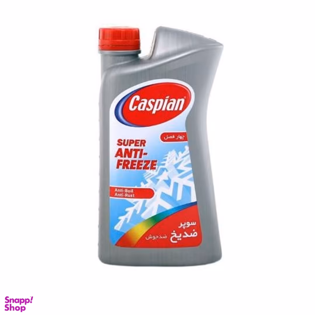 ضد یخ خودرو کاسپین مدل وینتر حجم 1 لیتر