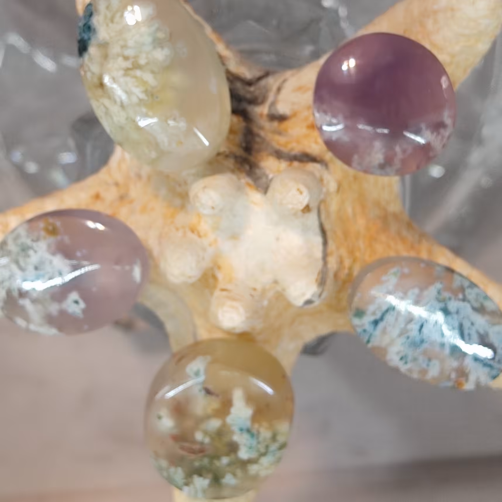 شجر بهاری پنج عدد  یکجاسایزهای ذکر شده تقریبی است سایزهای واقعی در عکس کنار خط کش قابل رویت و واقعی میباشد