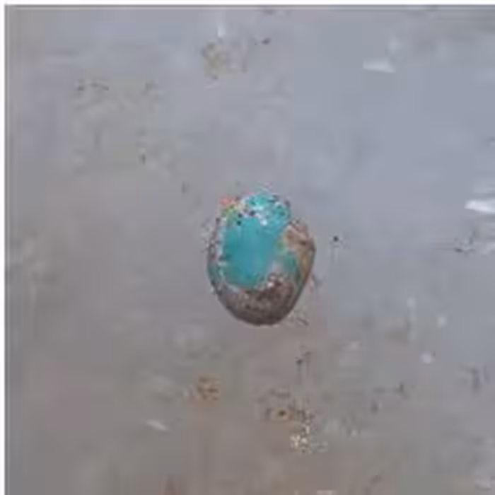 نگین فیروزه نیشابور کد 440