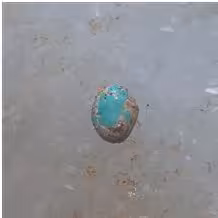 نگین فیروزه نیشابور کد 440