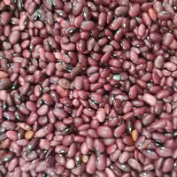 لوبیا قرمز اراک ارسال رایگان