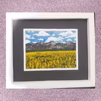 تابلو  نقاشی اکریلیک طرح مزرعه ی کُلزا 