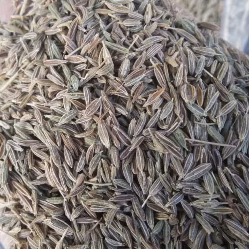 زیره سبز 300 گرمی