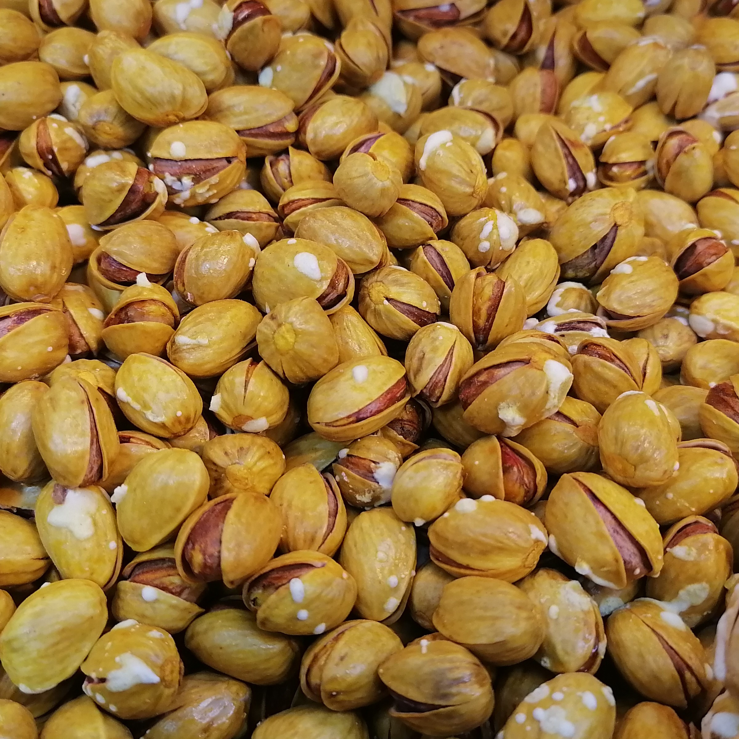 پسته فندقی خام وپخته تازه