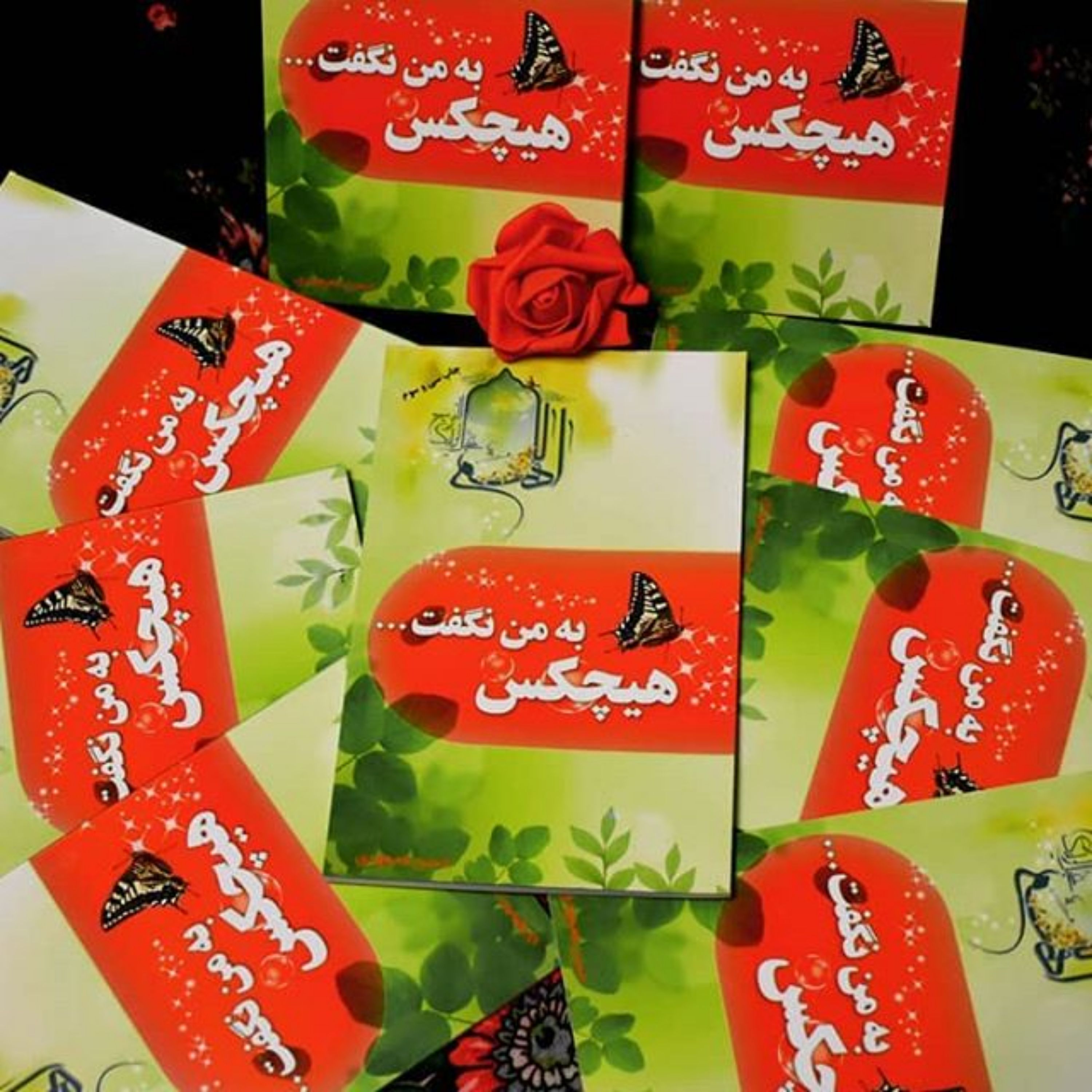 کتاب هیچکس به من نگفت 