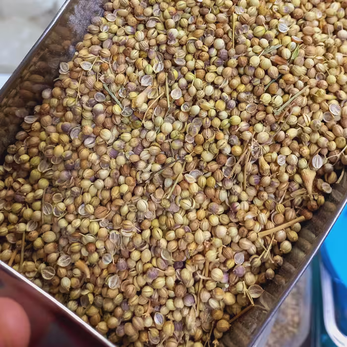 تخم گشنیز توپی (200 گرمی)